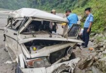 राष्ट्रिय राजमार्ग-१० मा वाहन दुर्घटना, चालक घाइते