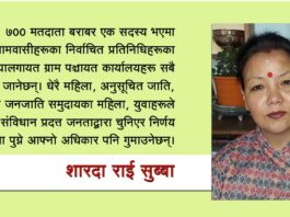 पञ्चायत अधिनियम संशोधन पहाडका लागि घातक